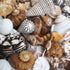 extra large beige tan shell mix